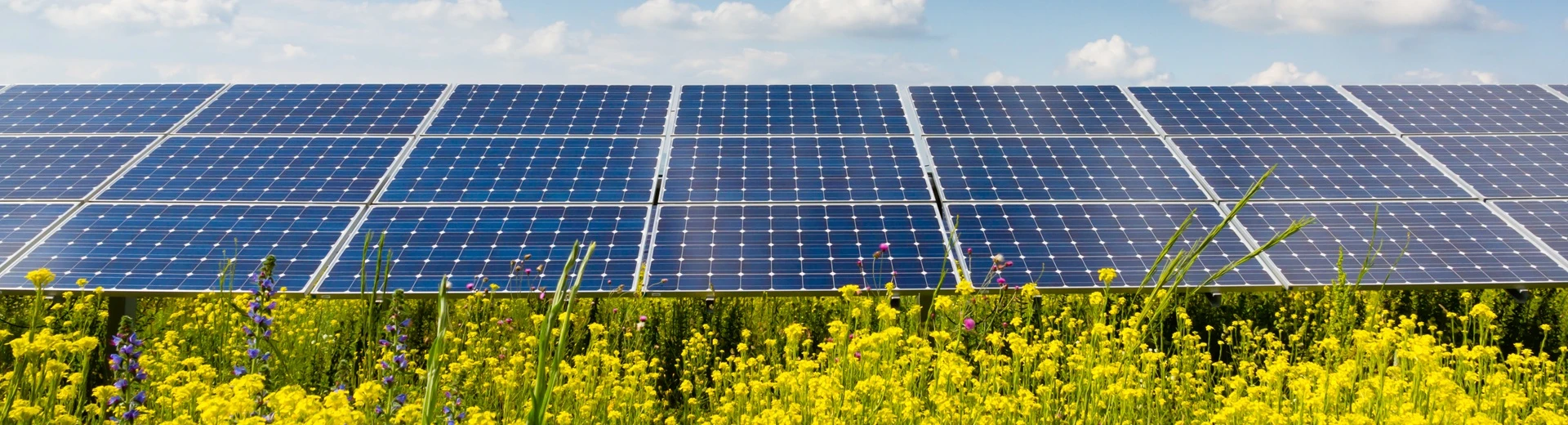 Joint reporting on multilateral development banks' climate finance