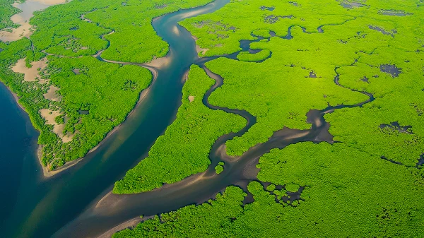 Global Freshwater and Infrastructure