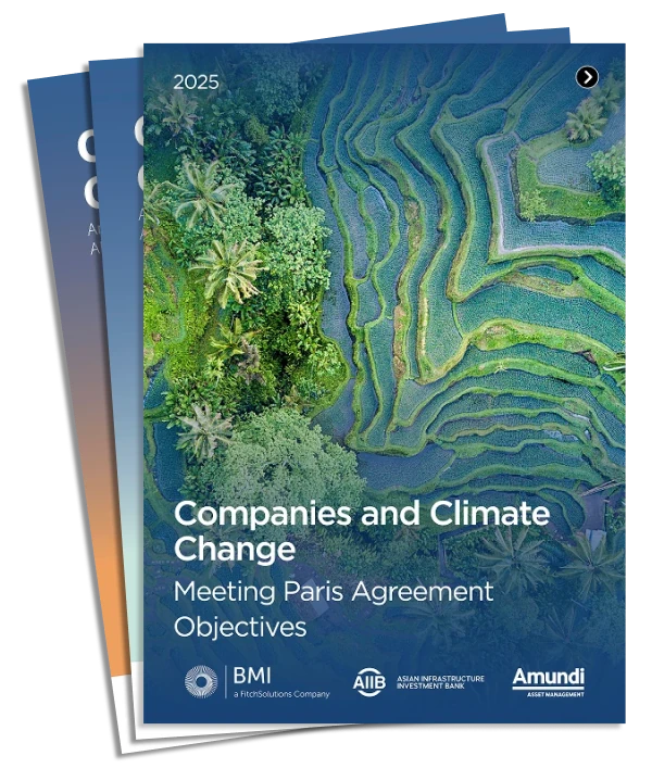 Companies and Climate Change